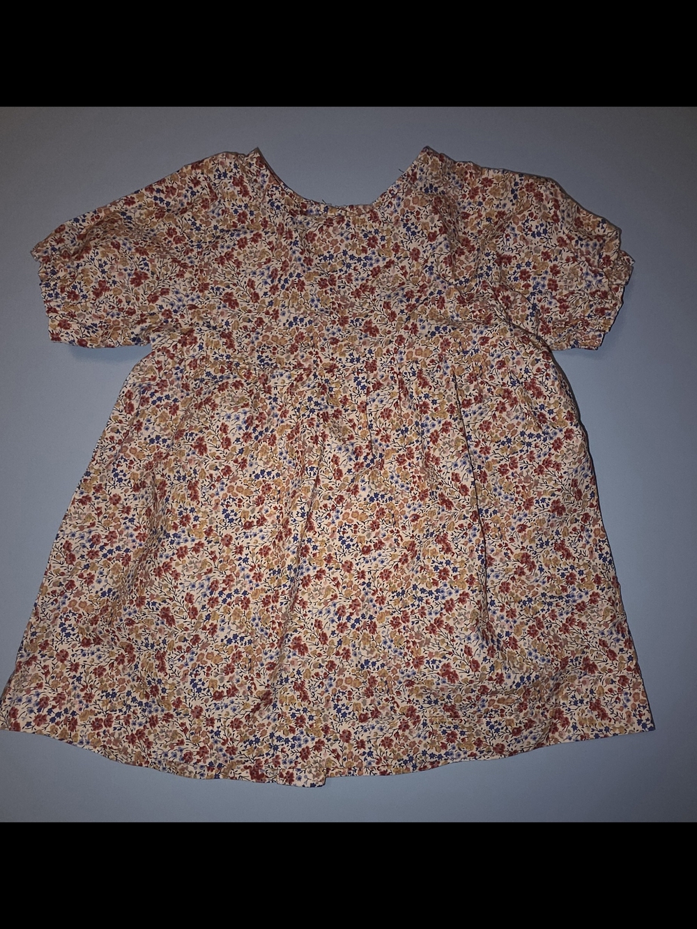 Huttelihut Girls' Casual Floral Dress in Cream and Red Size 6m